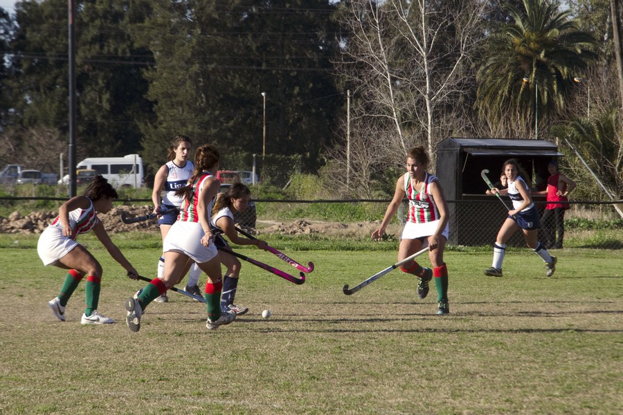 TRIUNFAZO DE LAS LOBIZONAS